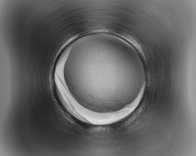 X0000096210806200802151501