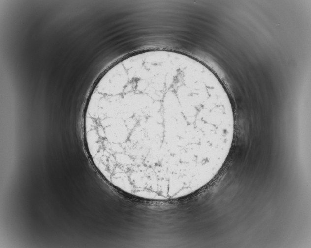 X0000096210807200802151500