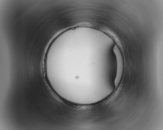 X0000096210808200802151500