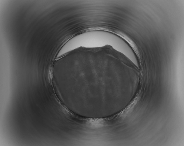 X0000096210809200802151500