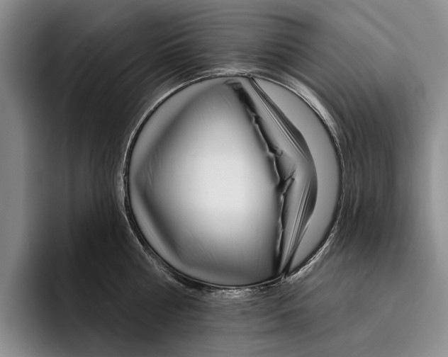 X0000096210810200802151500