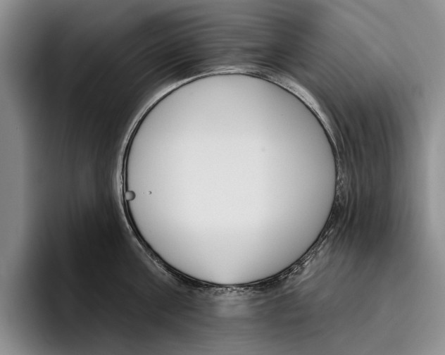 X0000096210811200802151500