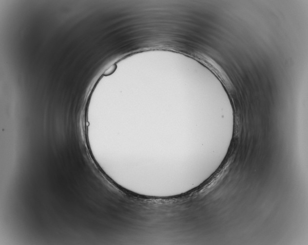 X0000096210812200802151500