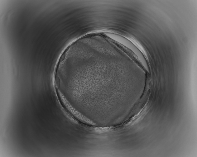 X0000096210813200802151500