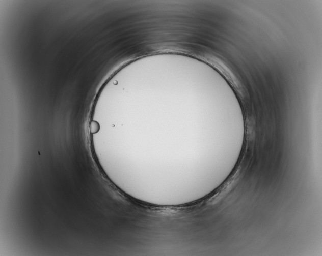 X0000096210814200802151500