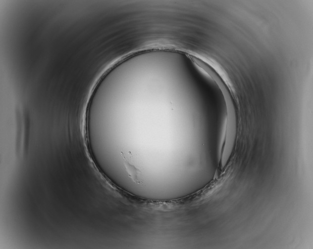 X0000096210815200802151500