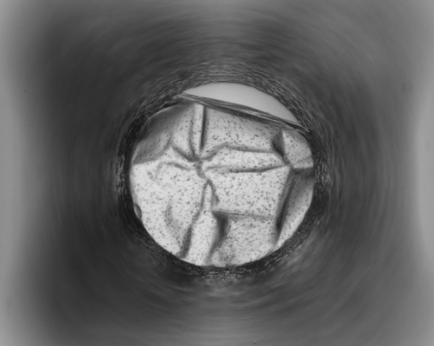 X0000096210818200802151500