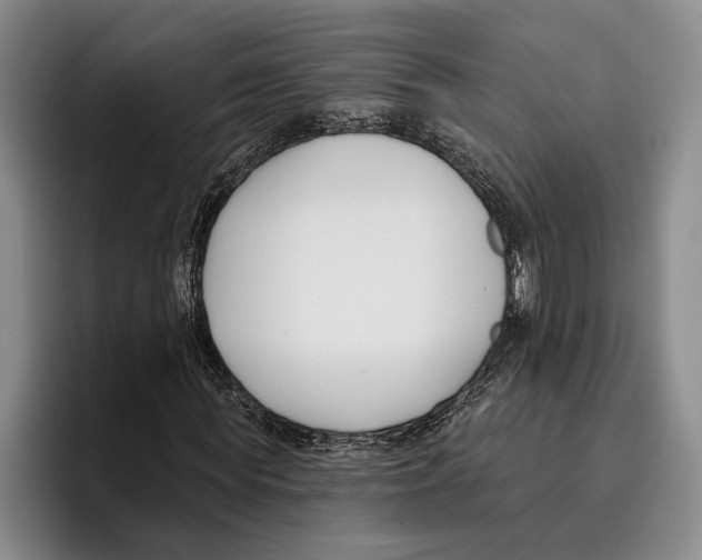 X0000096210819200802151500