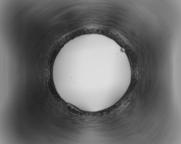 X0000096210821200802151500