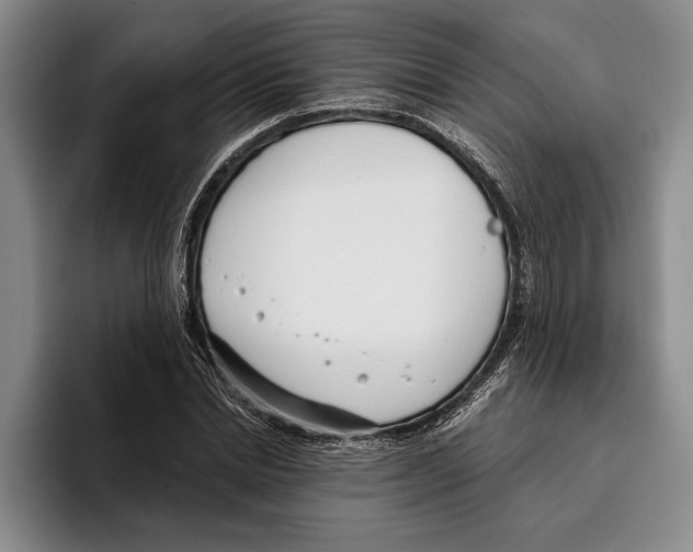 X0000096210830200802151500