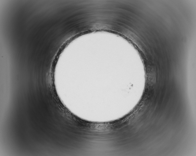 X0000096210832200802151500