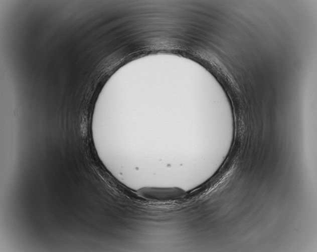 X0000096210833200802151500