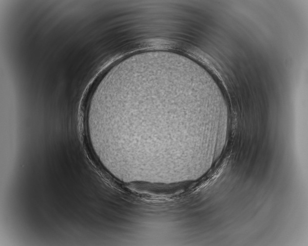 X0000096210835200802151500