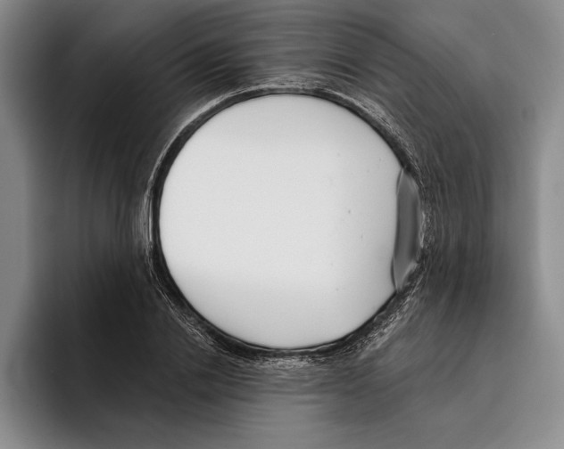 X0000096210838200802151500