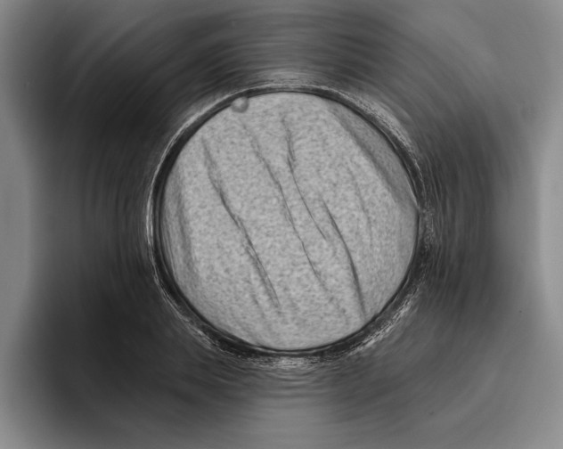 X0000096210839200802151500