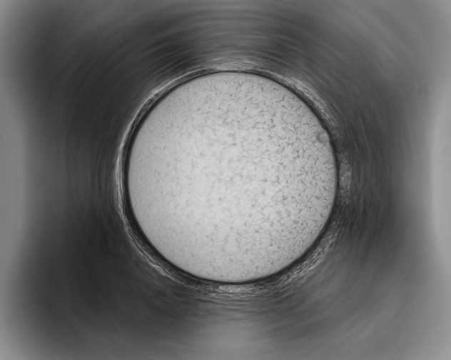 X0000096210840200802151500