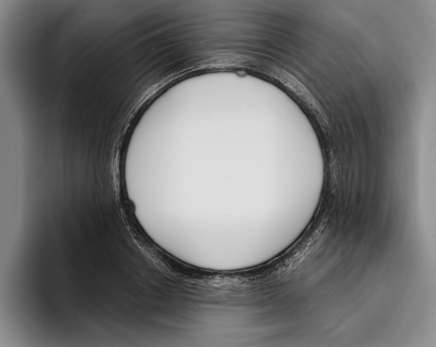 X0000096210842200802151500
