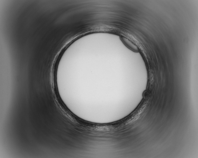X0000096210843200802151500