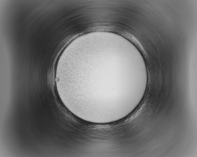 X0000096210844200802151500