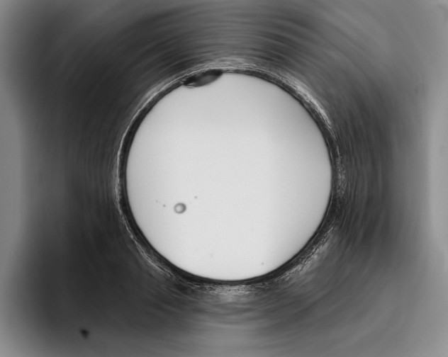 X0000096210845200802151500