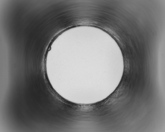 X0000096210848200802151500