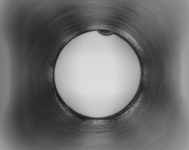X0000096210849200802151500