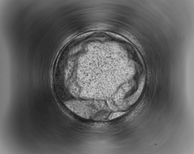 X0000096210850200802151500