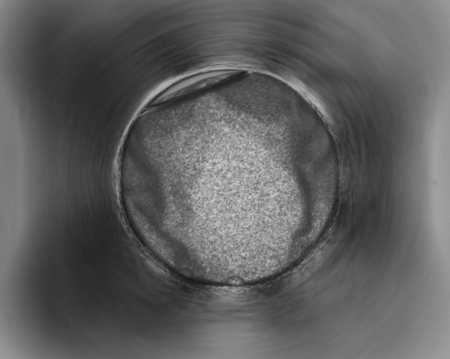 X0000096210854200802151500