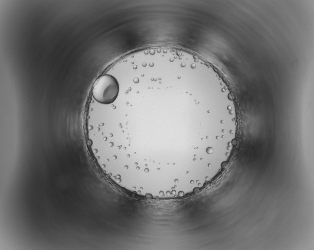 X0000096210856200802151500