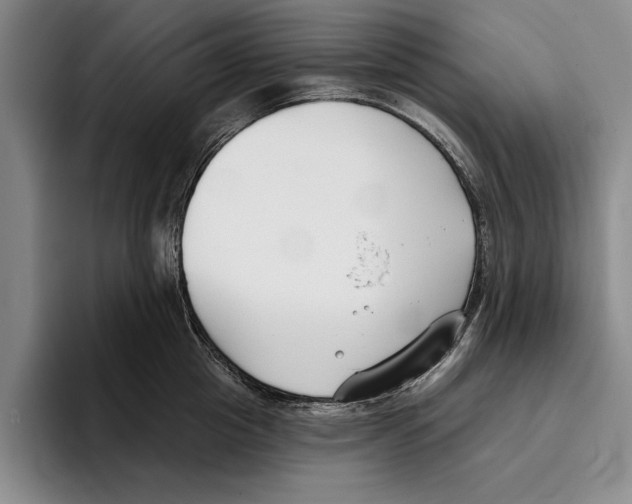 X0000096210857200802151500
