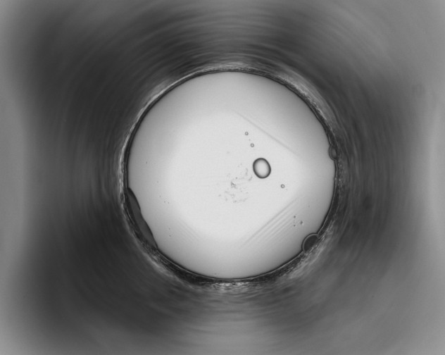 X0000096210858200802151500
