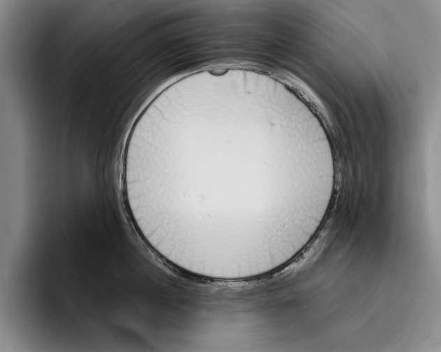 X0000096210860200802151500