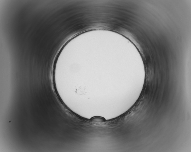 X0000096210861200802151500