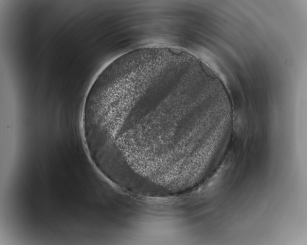X0000096210863200802151500