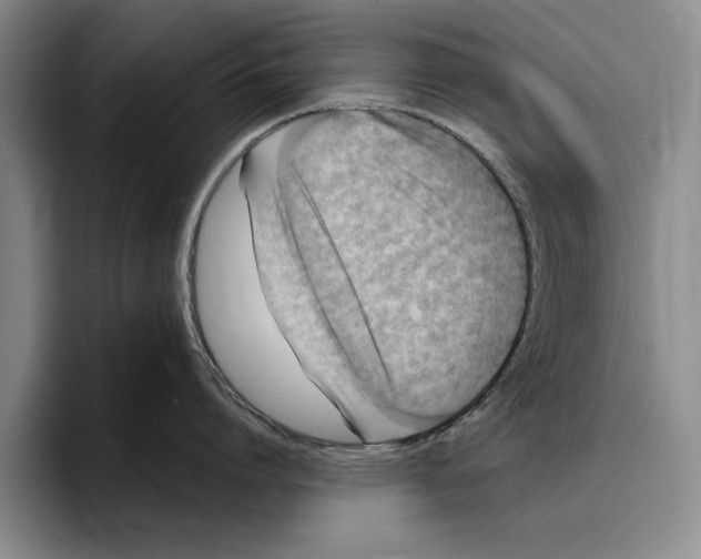 X0000096210864200802151500