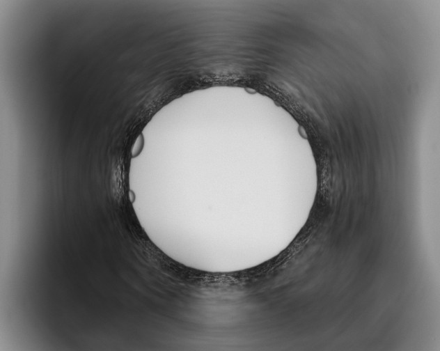 X0000096210866200802151500