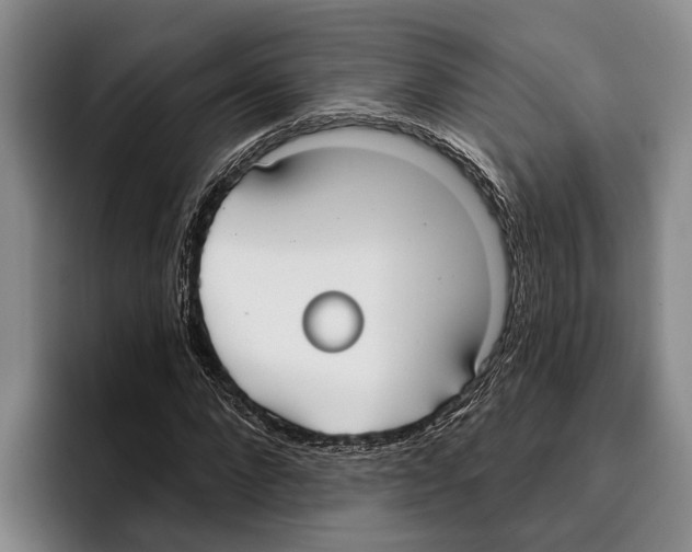 X0000096210872200802151500