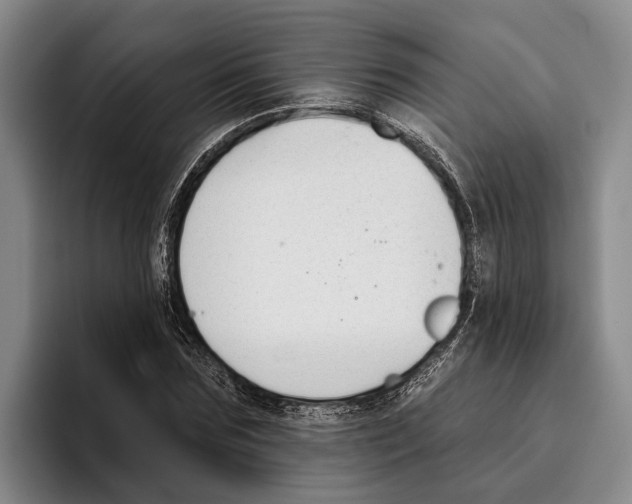 X0000096210875200802151500