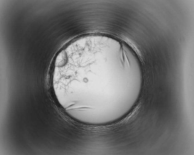 X0000096210876200802151500