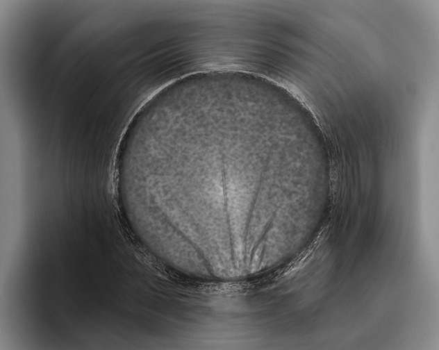 X0000096210879200802151500
