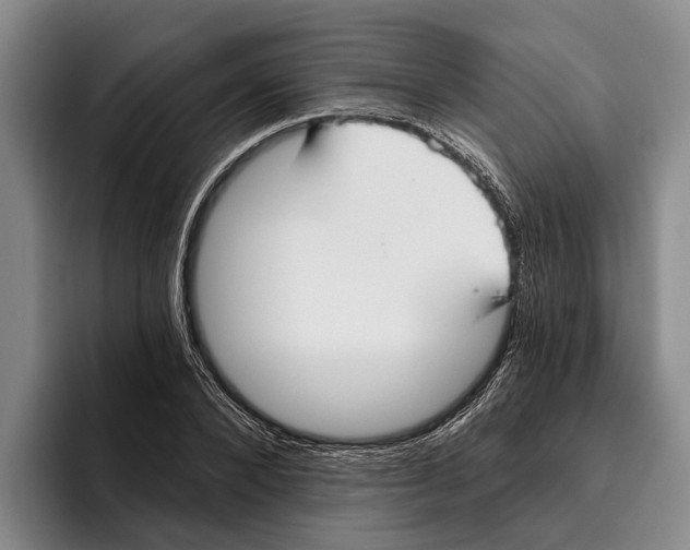 X0000096210880200802151500
