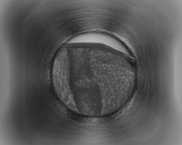 X0000096210881200802151500