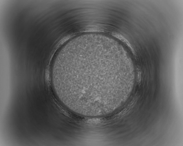X0000096210882200802151500