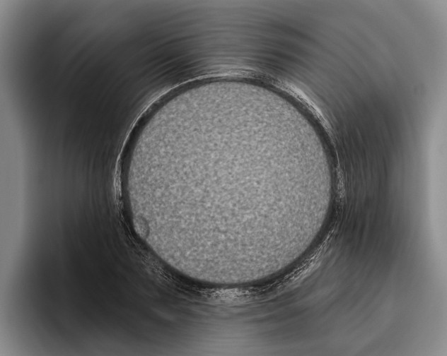 X0000096210883200802151500