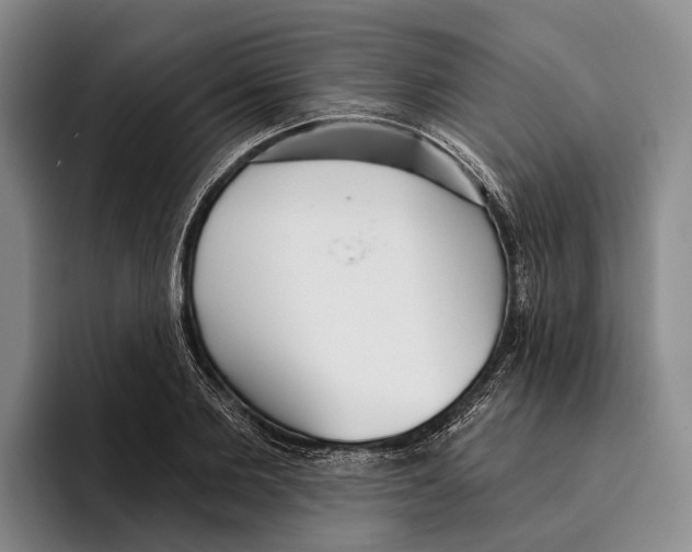 X0000096210885200802151459