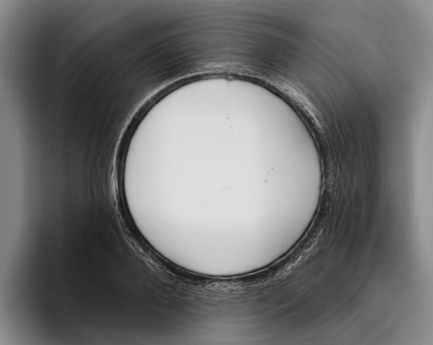 X0000096210888200802151459