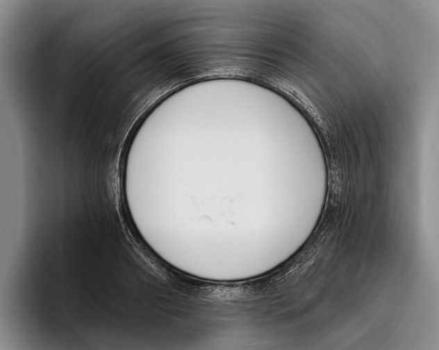 X0000096210890200802151459
