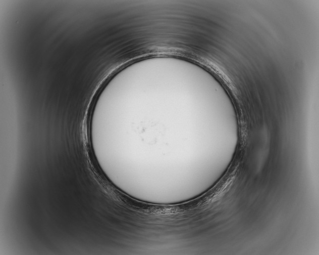 X0000096210891200802151459