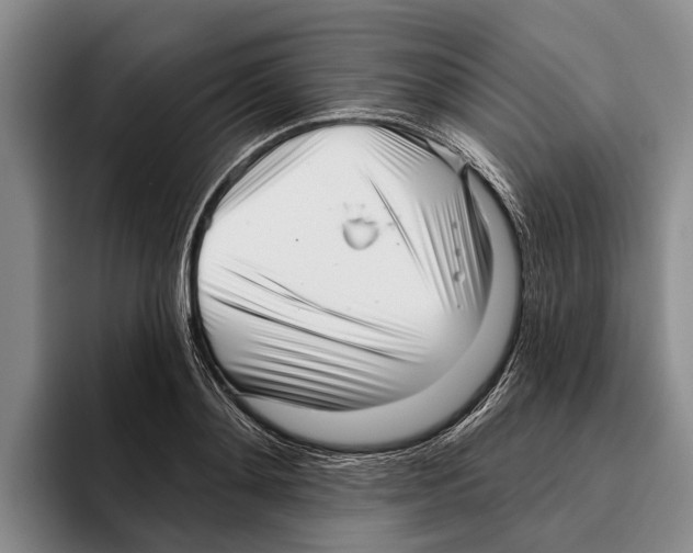 X0000096210892200802151459