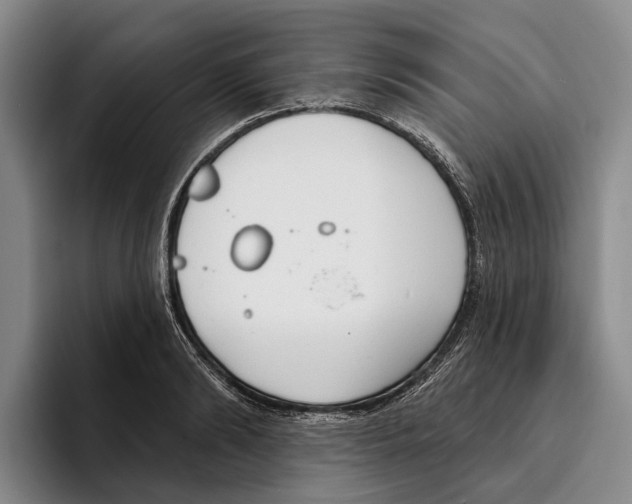 X0000096210894200802151459